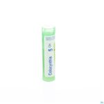 Packshot Colocynthis 5ch Gr 4g Boiron
