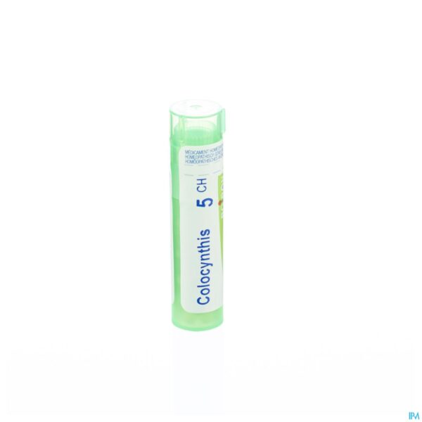 Packshot Colocynthis 5ch Gr 4g Boiron