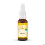 Packshot Bachbloesem Bio N°08 Chicory 20ml