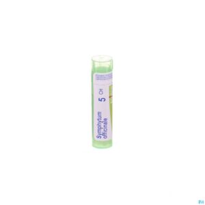 Packshot Symphytum Officinale 5ch Gr 4g Boiron