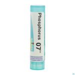 Packshot Phosphorus 7ch Gr 4g Boiron