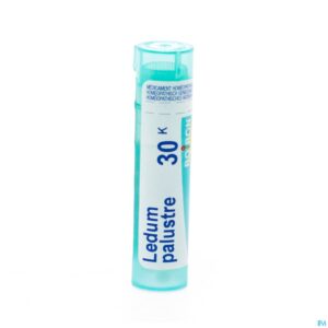 Packshot Ledum Palustre 30k Gr 4g Boiron