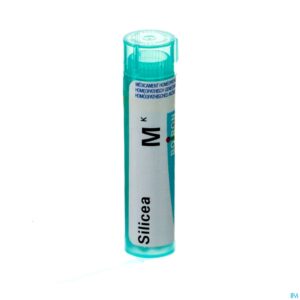 Packshot Silicea Mk Gr 4g Boiron
