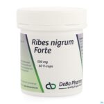 Packshot Ribes Nigrum V-caps 60 Deba