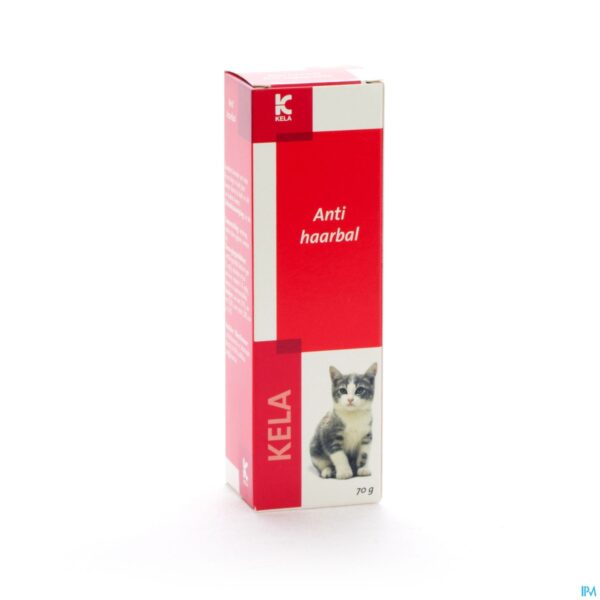 Packshot Anti Haarbal 70g