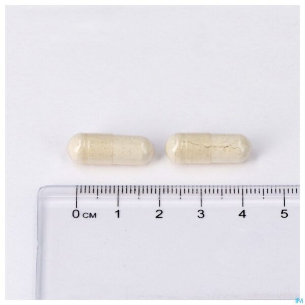 Pillshot Silica V-caps 60 Lepivits