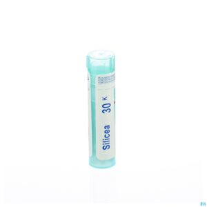 Packshot Silicea 30k Gr 4g Boiron