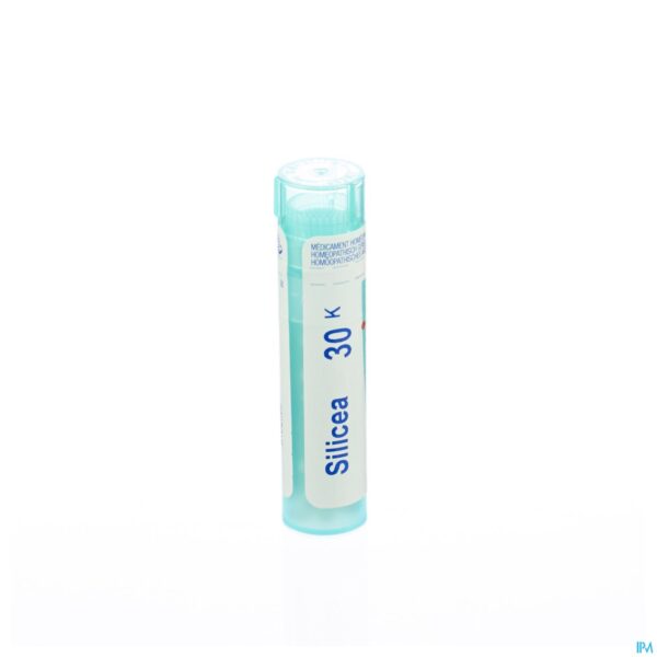 Packshot Silicea 30k Gr 4g Boiron