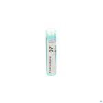 Packshot Dulcamara 7ch Gr 4g Boiron