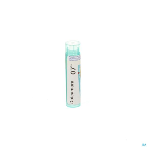 Packshot Dulcamara 7ch Gr 4g Boiron