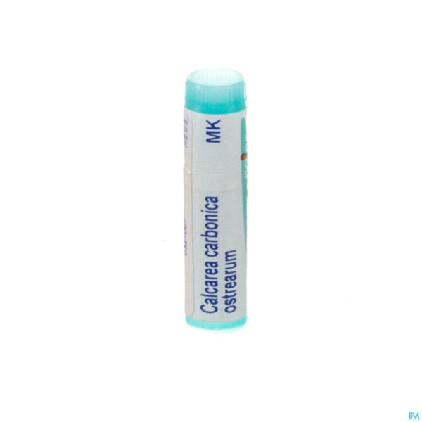 Packshot Calcarea Carbonica Ostrearum Mk Gl Boiron