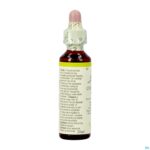 Packshot Bach Flower Remedie 07 Chestnut Bud 20ml