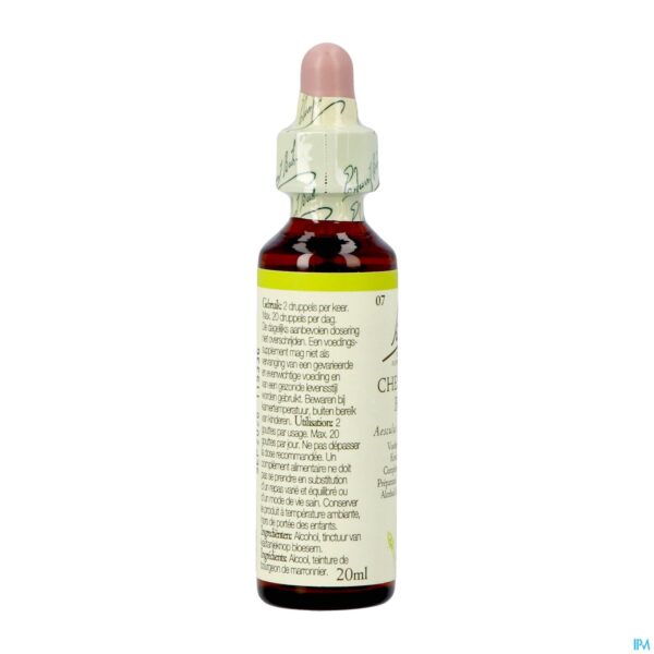 Packshot Bach Flower Remedie 07 Chestnut Bud 20ml