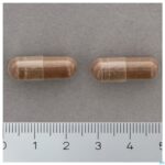 Productshot Glucoril  120 Caps Nutrisan