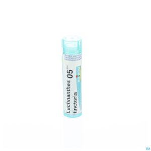 Packshot Lachnanthes Tinctoria 05ch Gr 4g Boiron