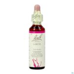 Packshot Bach Flower Remedie 19 Larch 20ml