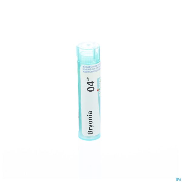 Packshot Bryonia 4ch Gr 4g Boiron
