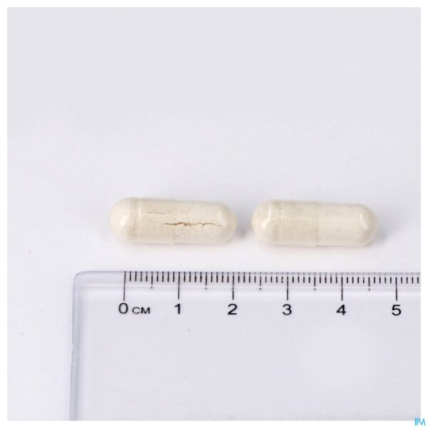Pillshot Dolomite 500mg Caps 60 Lepivits Pillshot Dolomite 500mg Caps 60 Lepivits