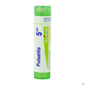 Packshot Pulsatilla 5ch Gr 4g Boiron