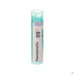 Packshot Hamamelis Virginiana 9ch Gr 4g Boiron