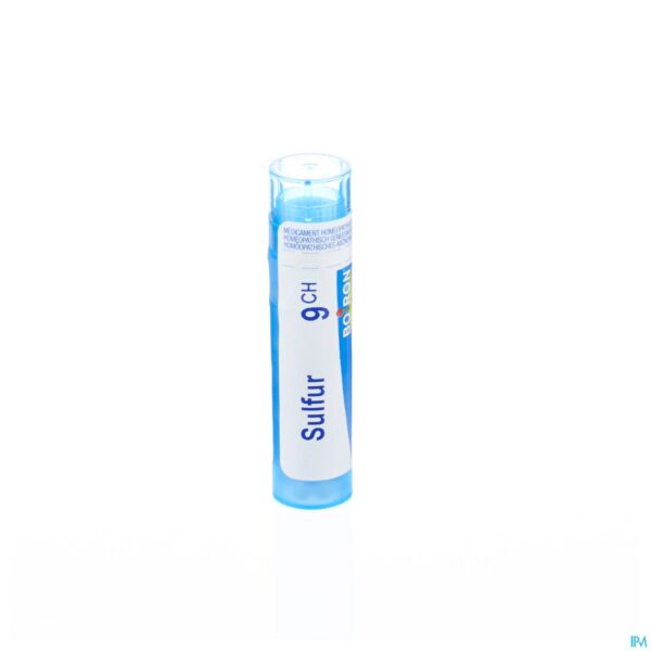 Packshot Sulfur 9ch Gr 4g Boiron