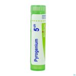 Packshot Pyrogenium 5ch Gr 4g Boiron