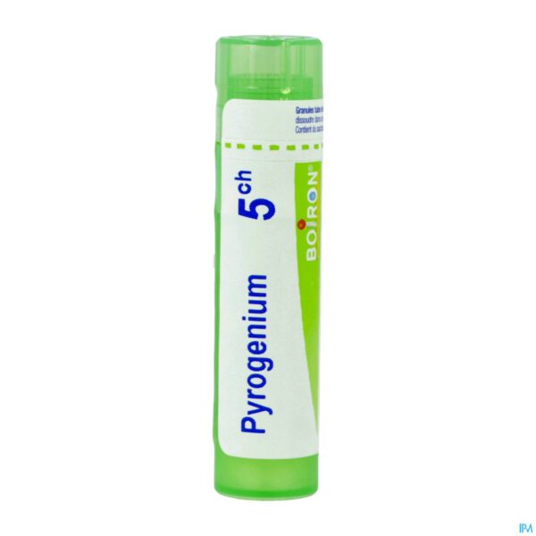Packshot Pyrogenium 5ch Gr 4g Boiron