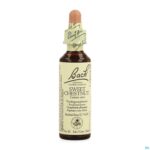 Packshot Bach Flower Remedie 30 Sweet Chestnut 20ml