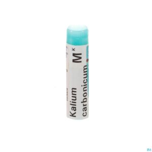 Packshot Kalium Carbonicum Mk Gl Boiron