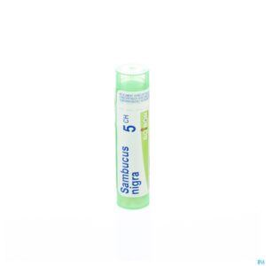Packshot Sambucus Nigra 5ch Gr 4g Boiron