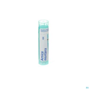 Packshot Arnica Montana Mk Gr 4g Boiron