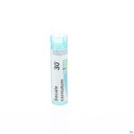 Packshot Secale Cornutum 30k Gr 4g Boiron
