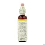 Packshot Bach Flower Remedie 36 Wild Oat 20ml