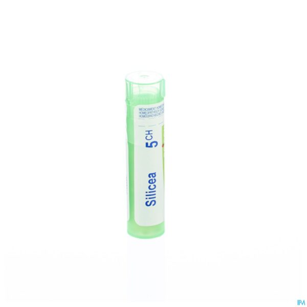 Packshot Silicea 5ch Gr 4g Boiron