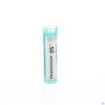 Packshot Stramonium 5ch Gr 4g Boiron