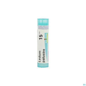 Packshot Ledum Palustre 15ch Gr 4g Boiron