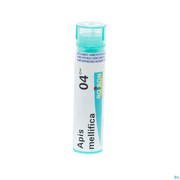 Packshot Apis Mellifica 4ch Gr 4g Boiron
