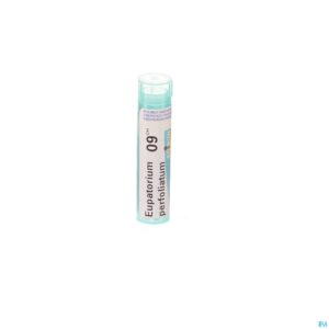 Packshot Eupatorium Perfoliatum 9ch Gr 4g Boiron