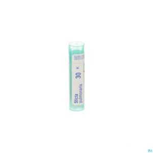 Packshot Sticta Pulmonaria 30k Gr 4g Boiron