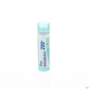 Packshot Rhus Toxicodendron 200k Gr 4g Boiron
