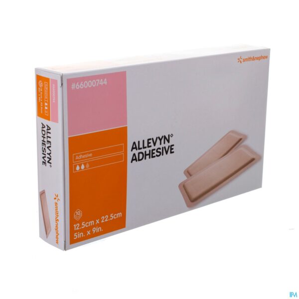 Packshot Allevyn Adh Verb Hydrocel. 12,5x22,5cm 10 66000744