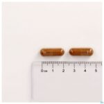 Pillshot Mannavital Diebaton V-caps 60