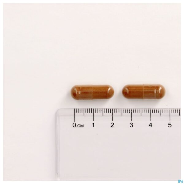 Pillshot Mannavital Diebaton V-caps 60