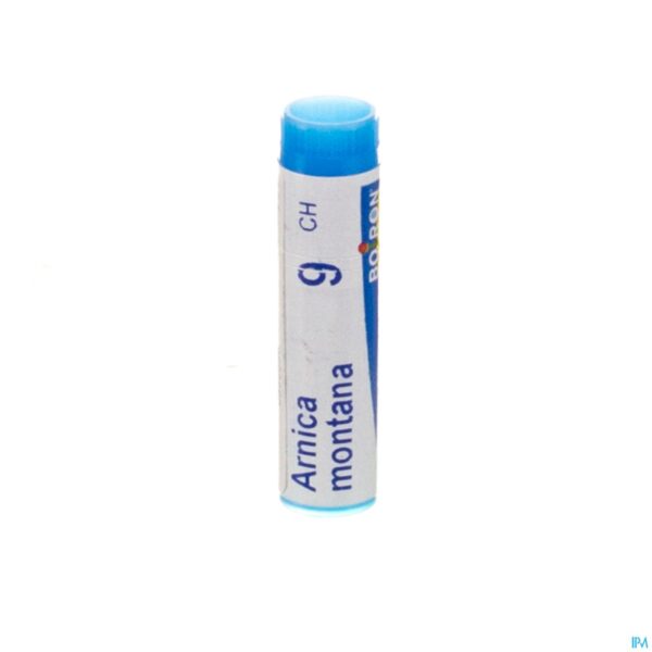 Packshot Arnica Montana 9ch Gl Boiron