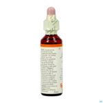 Packshot Bach Flower Remedie 02 Aspen 20ml