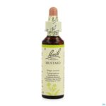 Packshot Bach Flower Remedie 21 Mustard 20ml