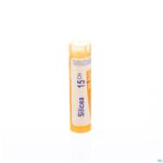 Packshot Silicea 15ch Gr 4g Boiron