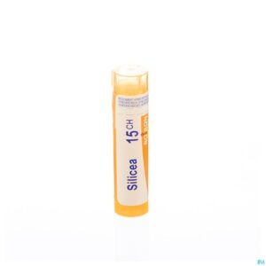 Packshot Silicea 15ch Gr 4g Boiron