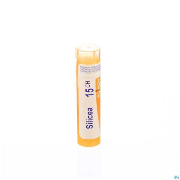 Packshot Silicea 15ch Gr 4g Boiron