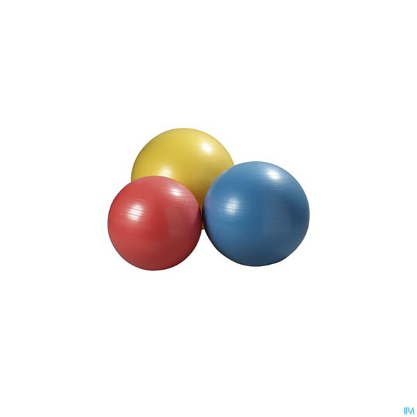 Productshot Jobri Exerswiss Therapy Bal 65cm 32300503